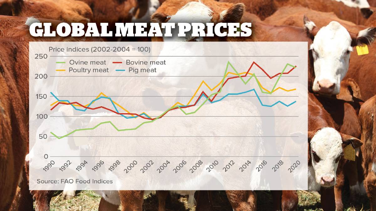 Beef Shortage 2025 Flora Jewelle